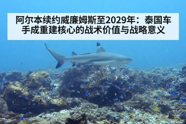 阿尔本续约威廉姆斯至2029年：泰国车手成重建核心的战术价值与战略意义