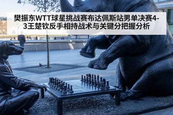 樊振东WTT球星挑战赛布达佩斯站男单决赛4-3王楚钦反手相持战术与关键分把握分析 | hth