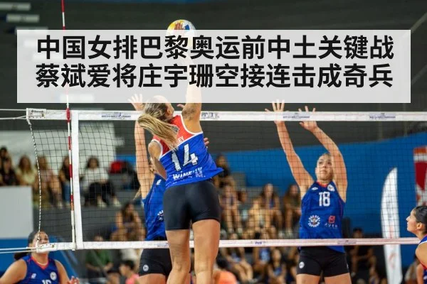 volleyball spike action（hth）