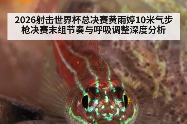 2026射击世界杯总决赛黄雨婷10米气步枪决赛末组节奏与呼吸调整深度分析